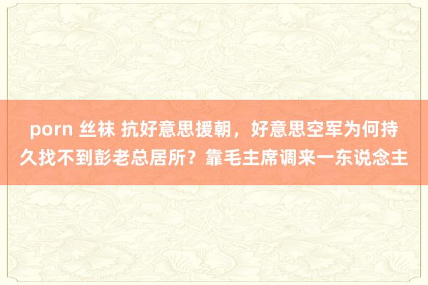 porn 丝袜 抗好意思援朝，好意思空军为何持久找不到彭老总居所？靠毛主席调来一东说念主