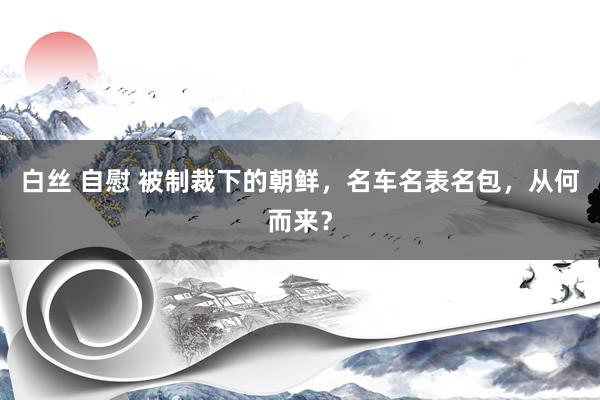 白丝 自慰 被制裁下的朝鲜，名车名表名包，从何而来？