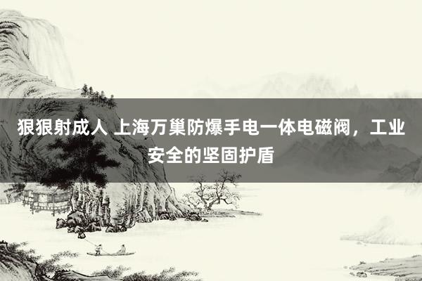 狠狠射成人 上海万巢防爆手电一体电磁阀，工业安全的坚固护盾