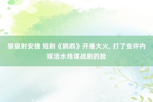 狠狠射安捷 短剧《鹦鹉》开播大火， 打了些许内娱活水线谍战剧的脸