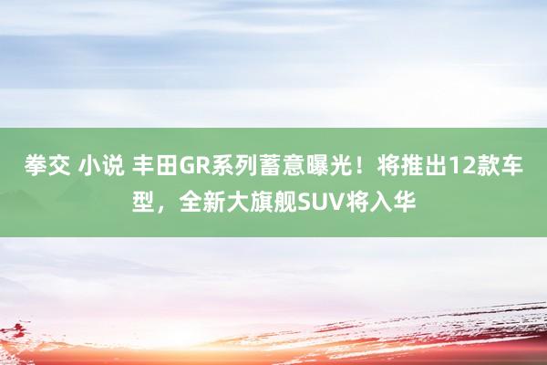 拳交 小说 丰田GR系列蓄意曝光！将推出12款车型，全新大旗舰SUV将入华
